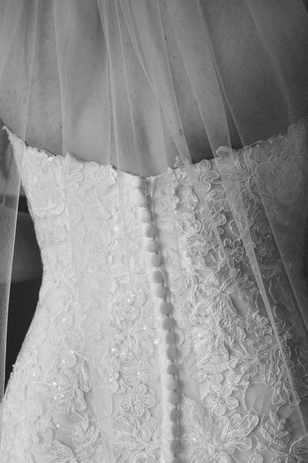 A sheer veil falling over the lace back of a wedding gown